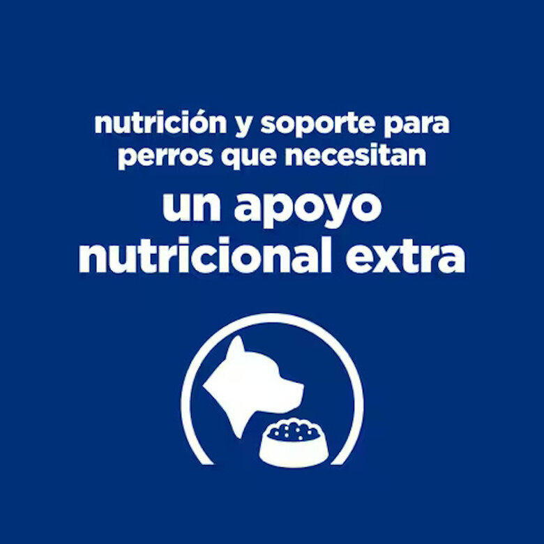 345 g Hill's Prescription Diet ON-Care Estufado de Frango e Legumes em lata para cães,  Imagem número 6 345 g Hill's Prescription Diet ON-Care Estufado de Frango e Legumes em lata para cães, , large Imagem número 6