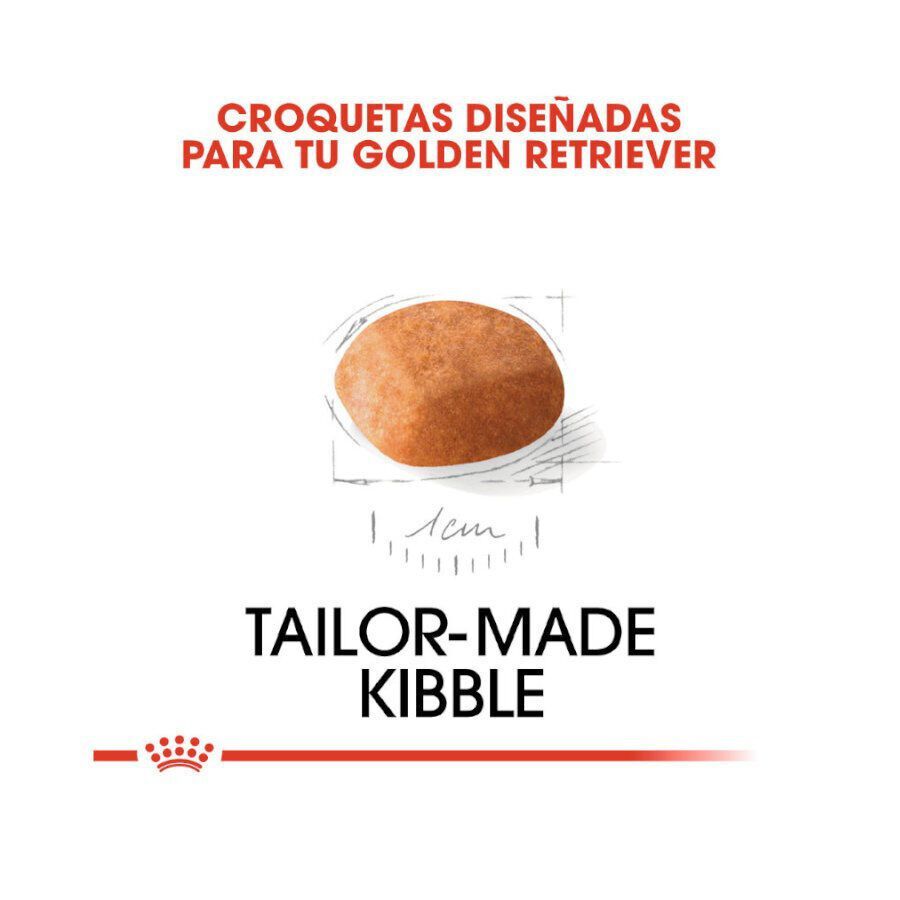 12 kg Royal Canin Puppy Golden Retriever ra&ccedil;&atilde;o para c&atilde;es, , large Imagem n&uacute;mero 5