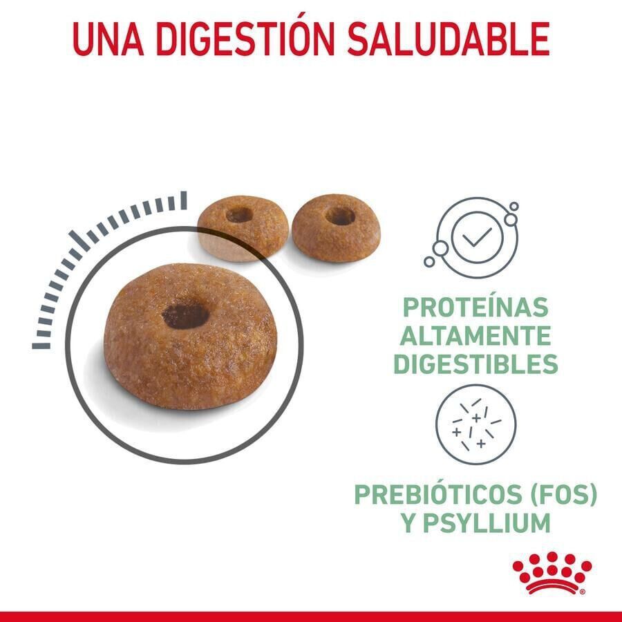 10 kg Royal Canin Adult Digestive ra&ccedil;&atilde;o para gatos, , large Imagem n&uacute;mero 3