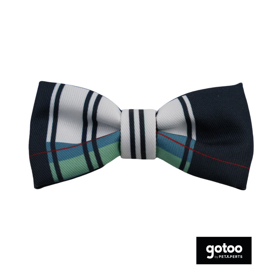 Gotoo La&ccedil;o de riscas para c&atilde;es., , large Imagem n&uacute;mero 2