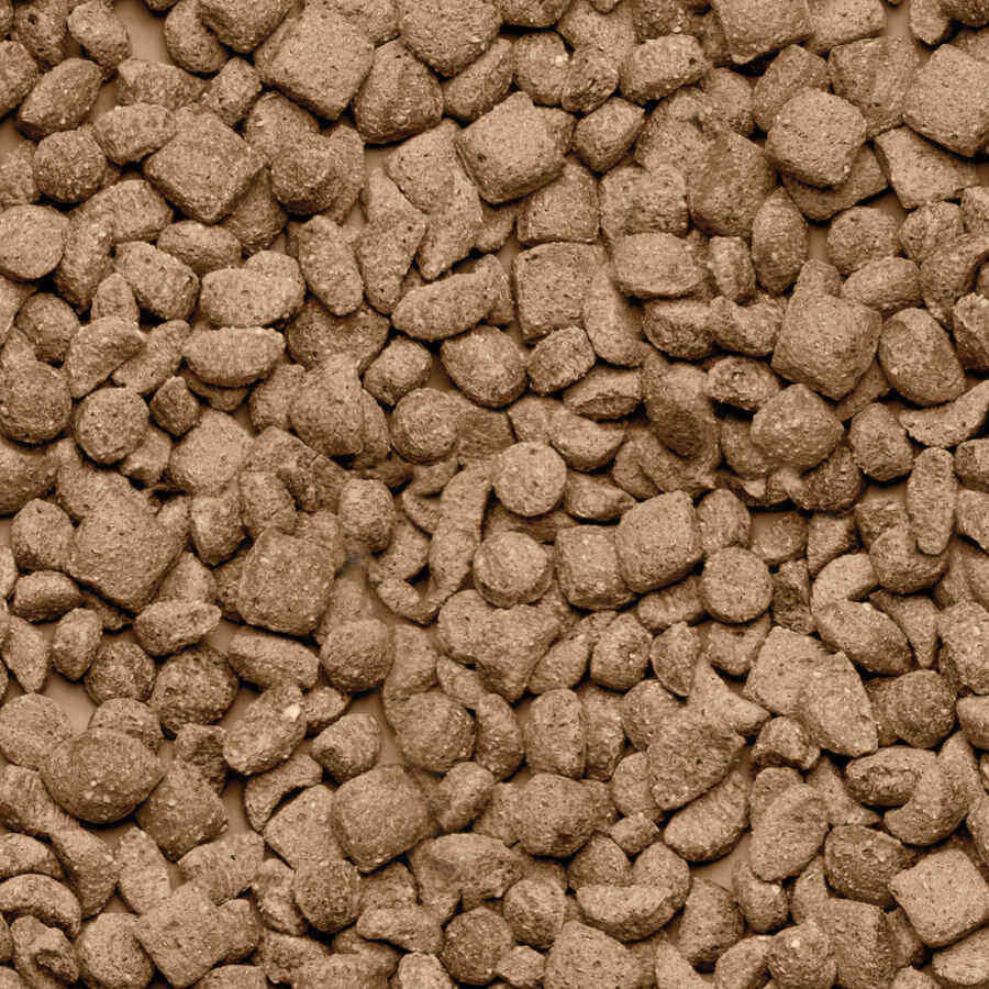 Beaphar Care+ Hamster ra&ccedil;&atilde;o para hamsteres, , large Imagem n&uacute;mero 2