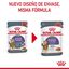 85 g Royal Canin Appetite Control Care molho saqueta para gatos, , large Indicador imagem número 2