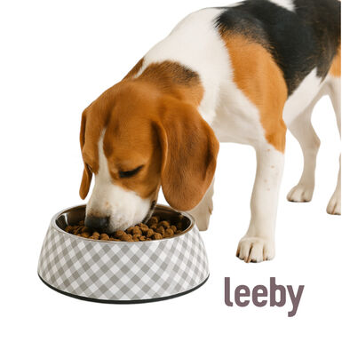 Leeby Comedouro cinza em inox para cães
