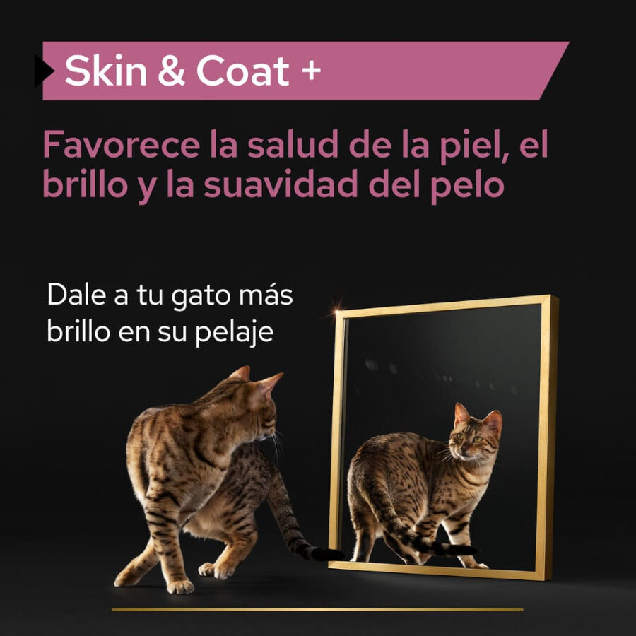 150 ml Pro Plan Skin & Coat + &Oacute;leo de Salm&atilde;o Noruegu&ecirc;s para gatos, , large Imagem n&uacute;mero 2