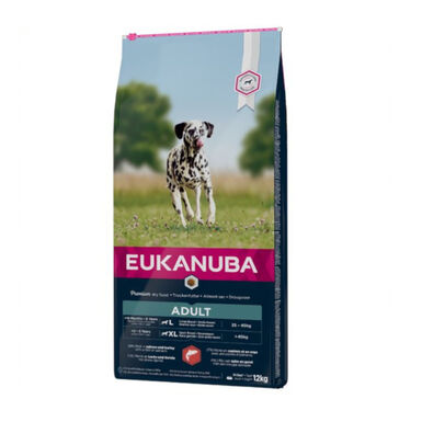 Eukanuba Adult Salmão ração para cães 