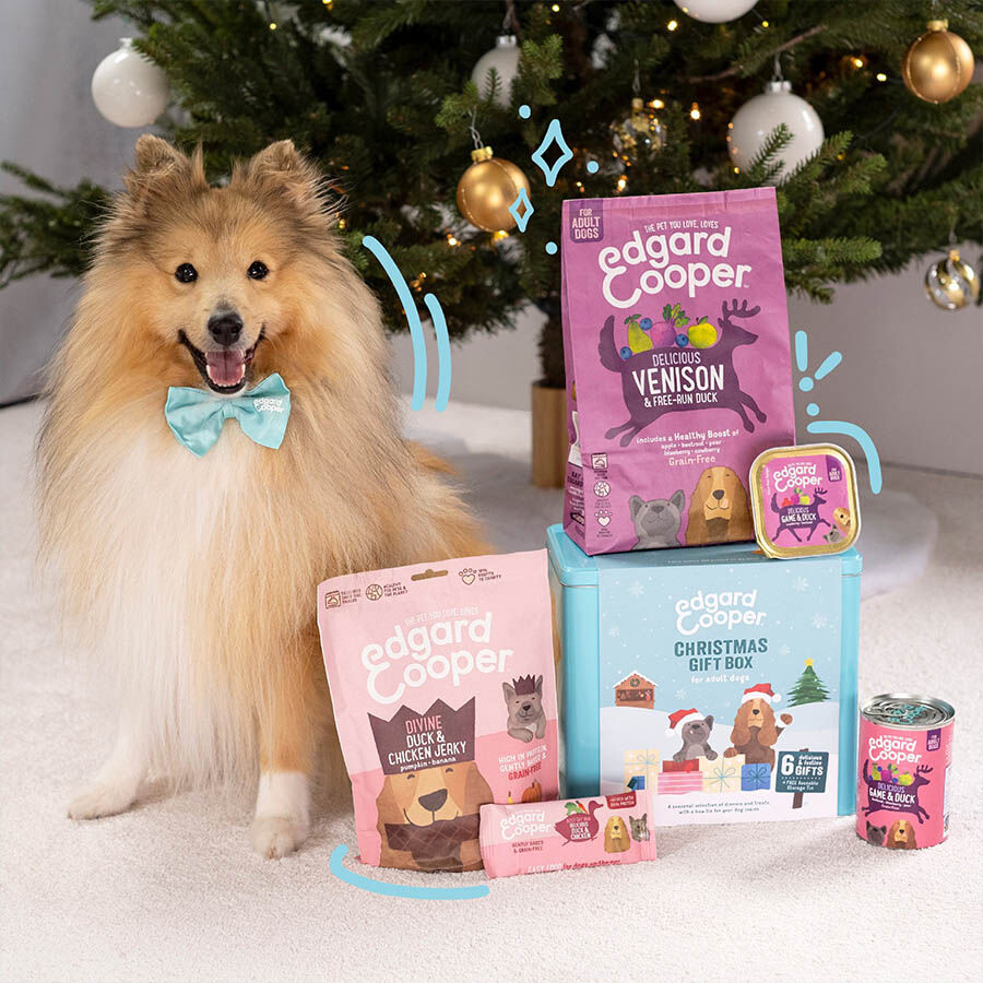 1 ud. Edgard & Cooper Kit de natal com comida para c&atilde;es, , large Imagem n&uacute;mero 2