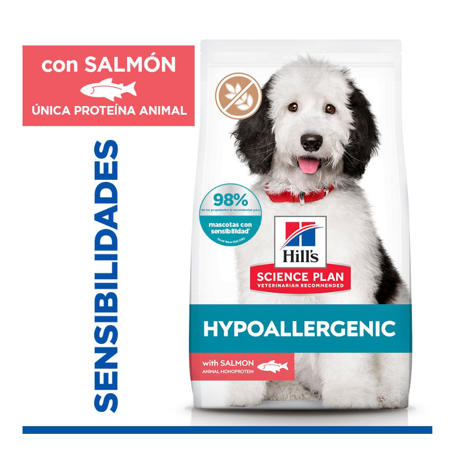 14 kg Hill's Science Plan Hipoalerg&eacute;nico Large Salm&atilde;o ra&ccedil;&atilde;o para c&atilde;es, , large Imagem n&uacute;mero 2