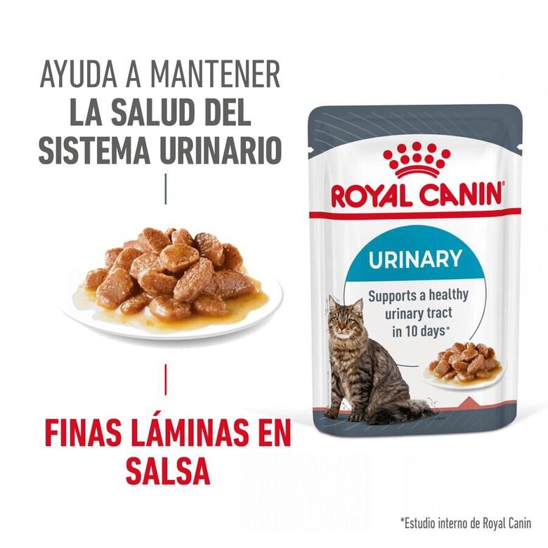 85 g Royal Canin Urinary Care Adult Saqueta em molho para gatos,  Imagem número 9 85 g Royal Canin Urinary Care Adult Saqueta em molho para gatos, , large Imagem número 9