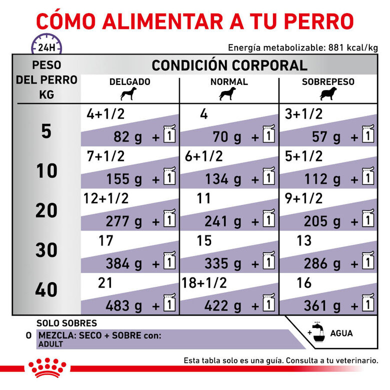 12 saquetas x 100 g Royal Canin Expert Adult Saqueta em Molho para cães,  Imagem número 3 12 saquetas x 100 g Royal Canin Expert Adult Saqueta em Molho para cães, , large Imagem número 3