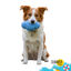 Summer Vibes TPR Chew Rugby Brinquedo para c&atilde;es, , large Indicador imagem n&uacute;mero 7
