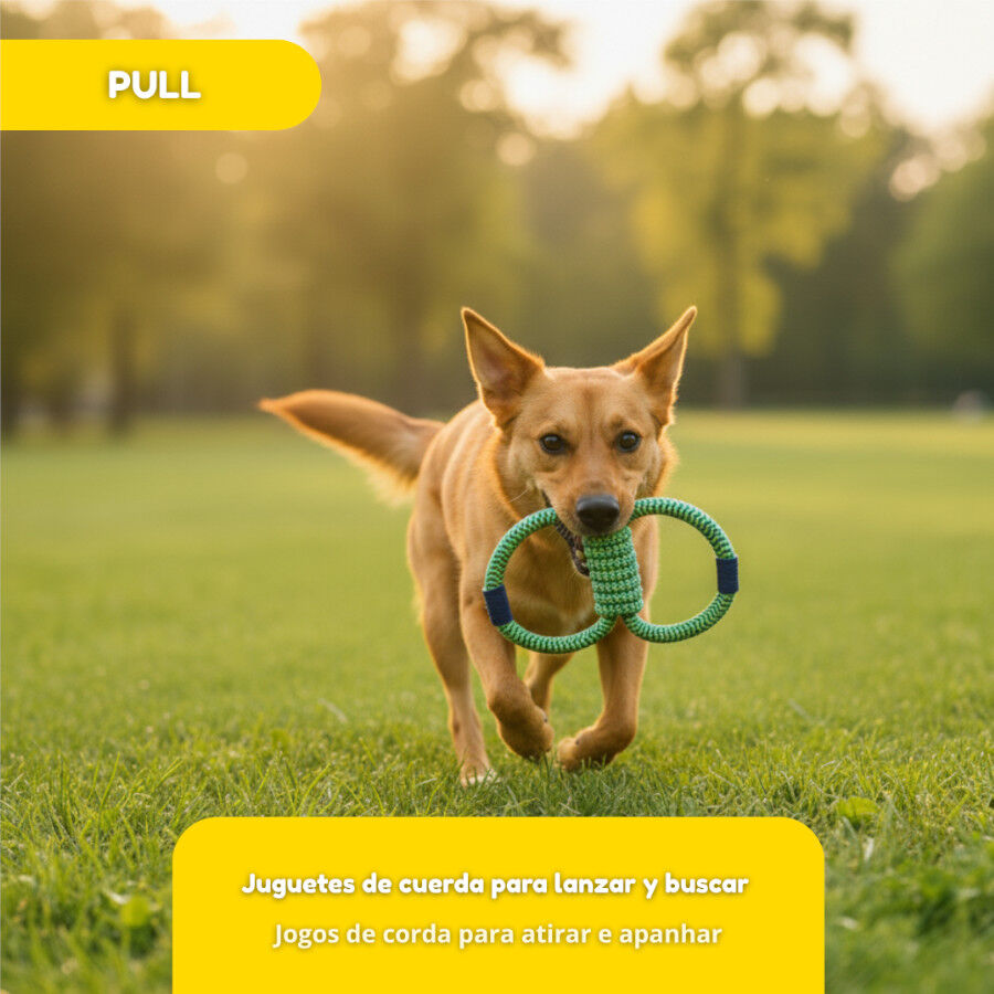 Tootoy! Pull Brinquedo de corda em oito para c&atilde;es, , large Imagem n&uacute;mero 5