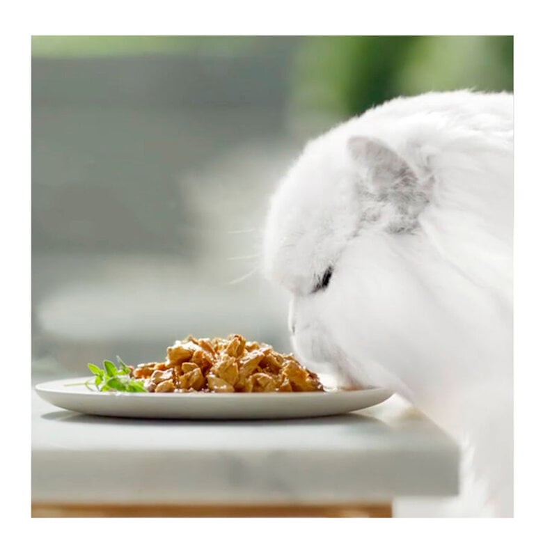 4 saquetas x 85 g Purina Gourmet Perle Láminas saquetas em molho para gatos – Pack 4,  Imagem número 3 4 saquetas x 85 g Purina Gourmet Perle Láminas saquetas em molho para gatos – Pack 4, , large Imagem número 3