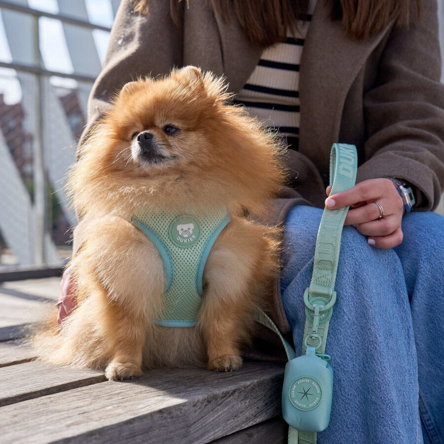 Dukier Body Essencial Cor verde para c&atilde;es, , large Imagem n&uacute;mero 2