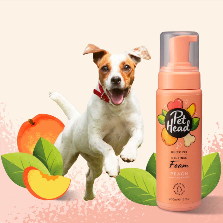 Pet Head Espuma de limpeza de patas para c&atilde;es 200ml, , large Imagem n&uacute;mero 2