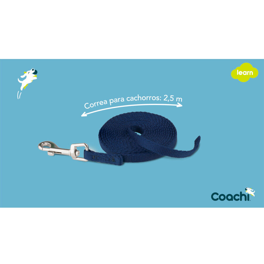 Coachi Trela de adestramento azul para c&atilde;es, , large Imagem n&uacute;mero 5