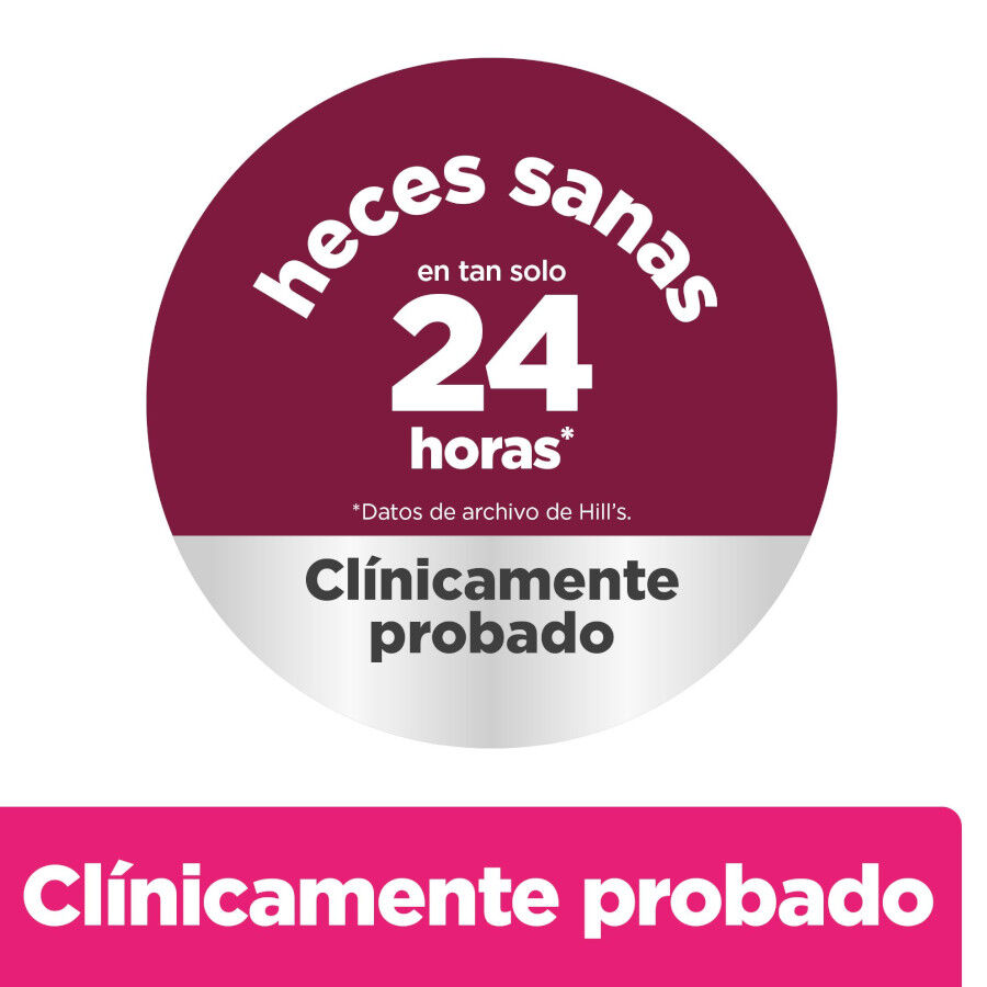 6 kg Hill's Prescription Diet Gastrointestinal Biome ra&ccedil;&atilde;o para c&atilde;es, , large Imagem n&uacute;mero 3