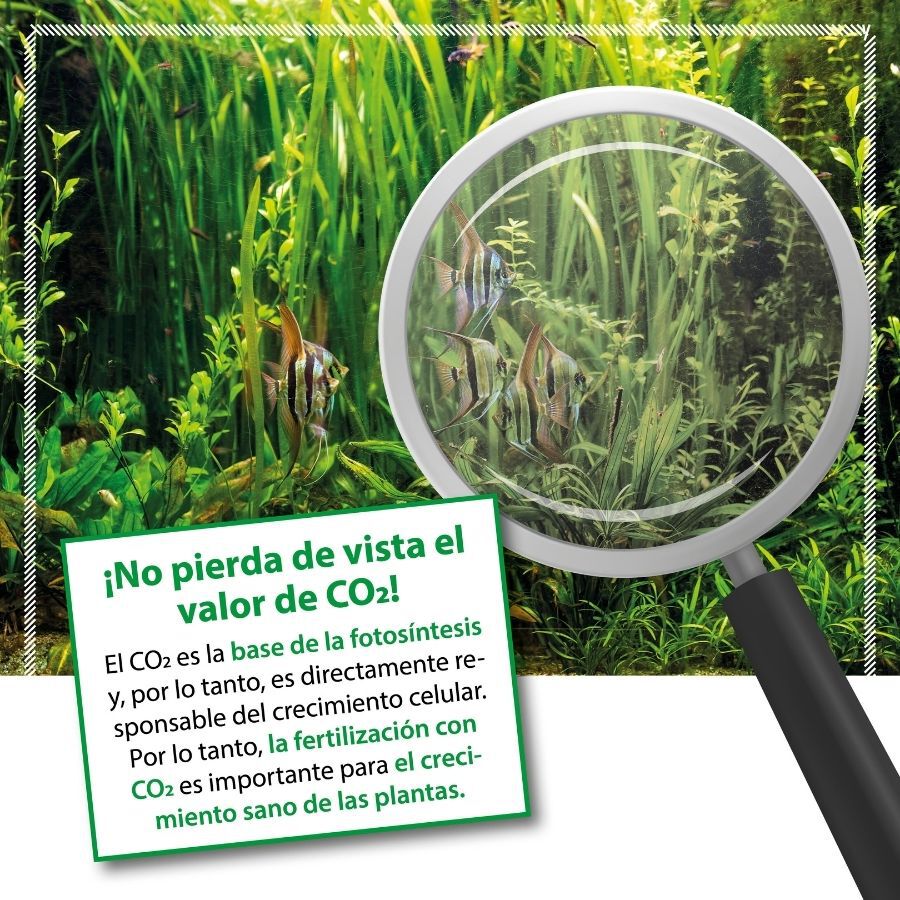 Microbe-Lift Bio CO2 Fertilizante l&iacute;quido de carbono para aqu&aacute;rios, , large Imagem n&uacute;mero 4