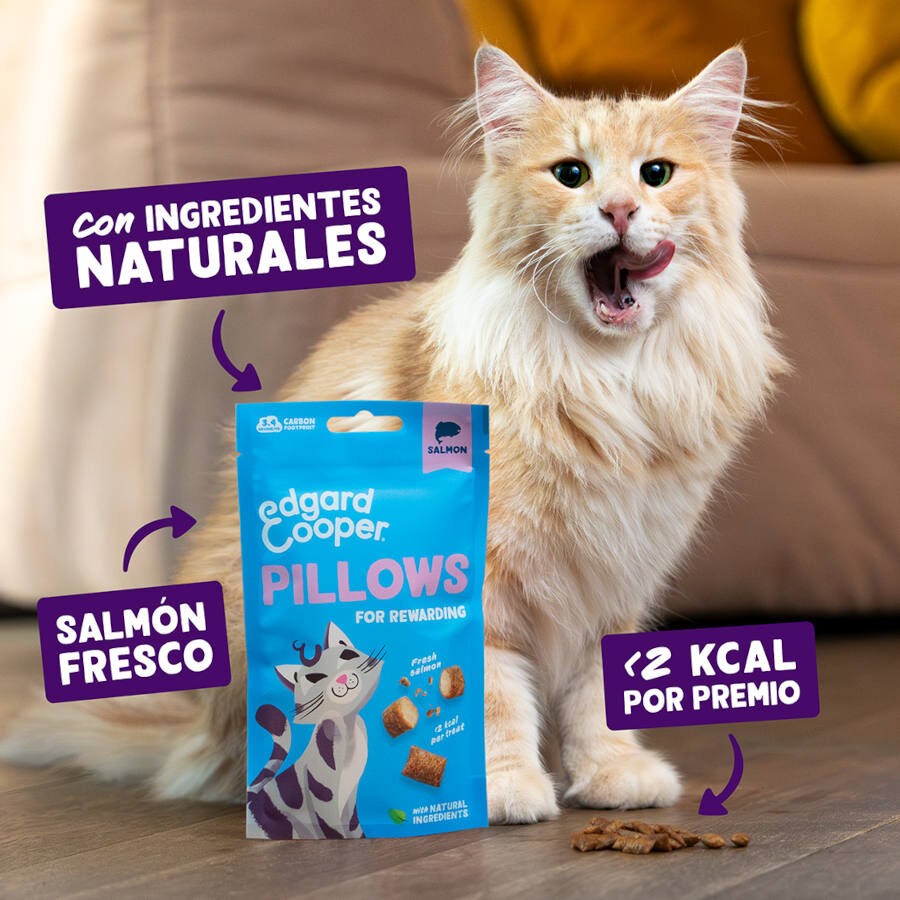 60 g Edgard & Cooper Pillows Snack de salm&atilde;o para gatos   , , large Imagem n&uacute;mero 2