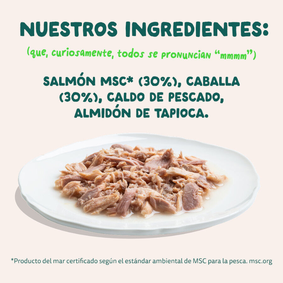 70 g Edgard & Cooper Filetes de Salm&oacute;n y Ceballa Lata para gatos, , large Imagem n&uacute;mero 6