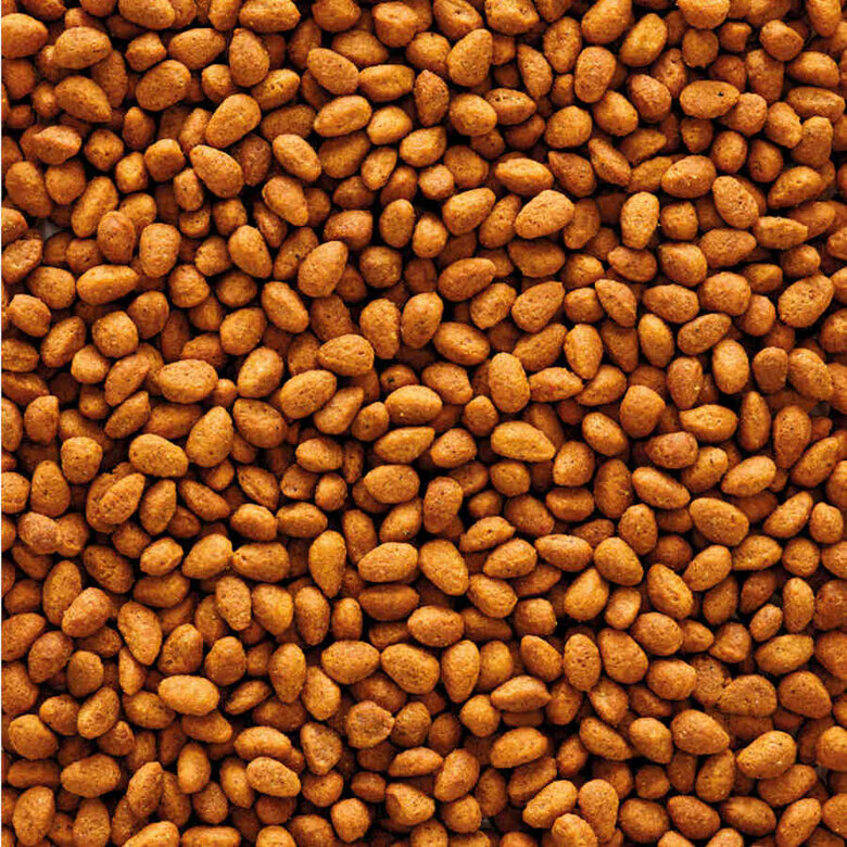 Versele-Laga muesli crocante comida para hamsters,  Imagem número 2 Versele-Laga muesli crocante comida para hamsters, , large Imagem número 2