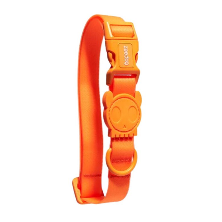 Zeedog Neopro Tangerine Coleira Laranja para cães ,  Imagem número 1 Zeedog Neopro Tangerine Coleira Laranja para cães , , large Imagem número 1