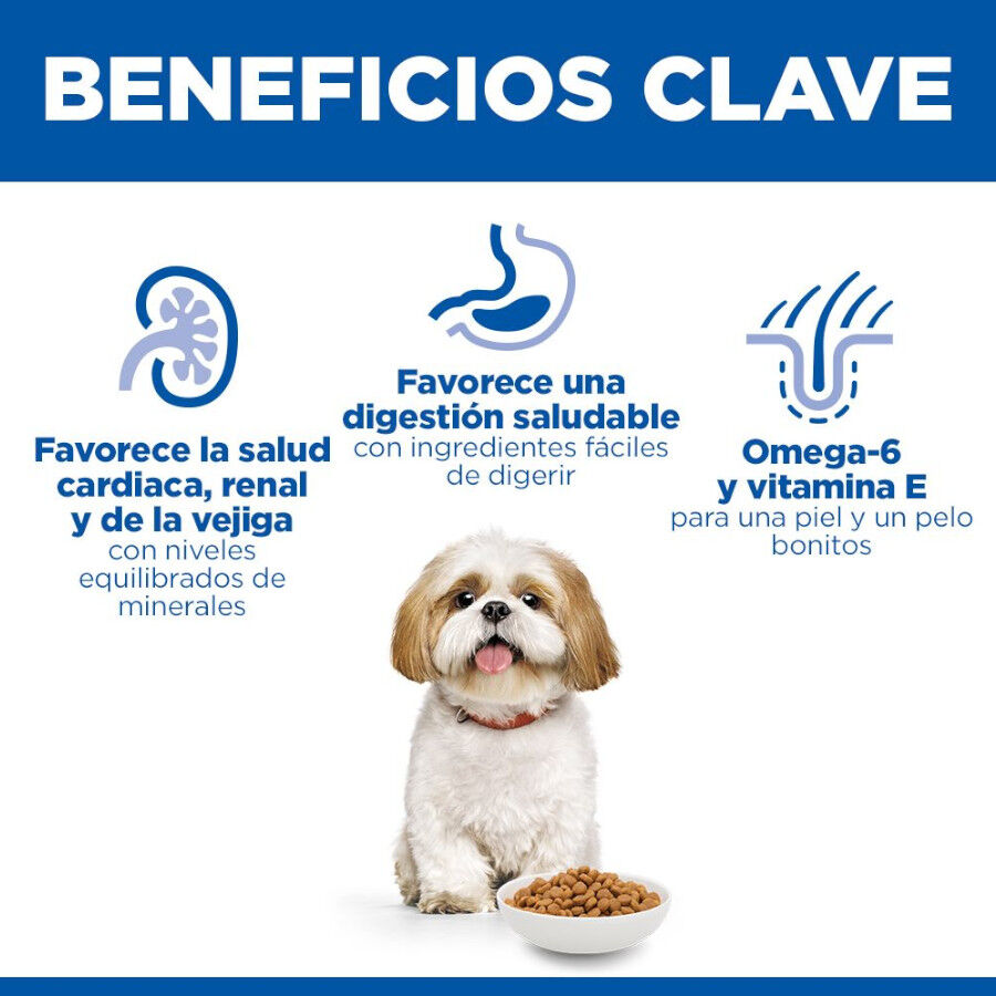 3 kg Hill's Science Plan Mature Adult Small Y Mini Frango ra&ccedil;&atilde;o para c&atilde;es, , large Imagem n&uacute;mero 5