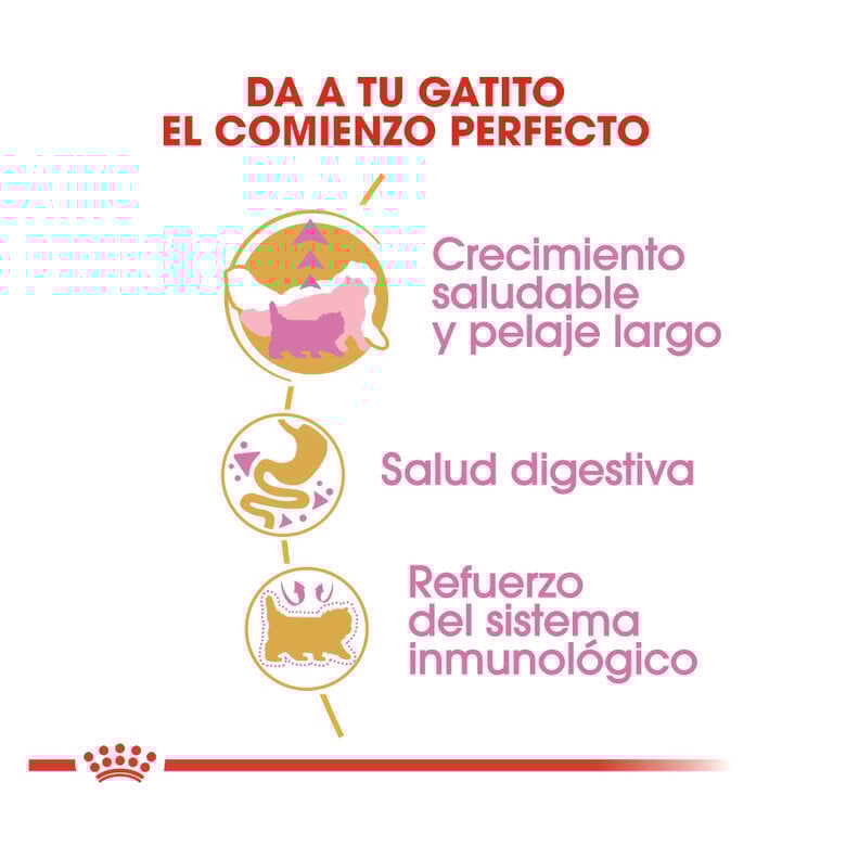 10 kg Royal Canin Kitten Persa ração para gatinhos,  Imagem número 7 10 kg Royal Canin Kitten Persa ração para gatinhos, , large Imagem número 7