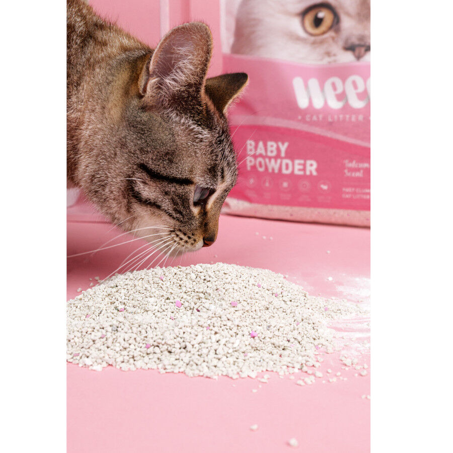 Weego Baby Powder Areia Aglomerante para gatos, , large Imagem n&uacute;mero 3