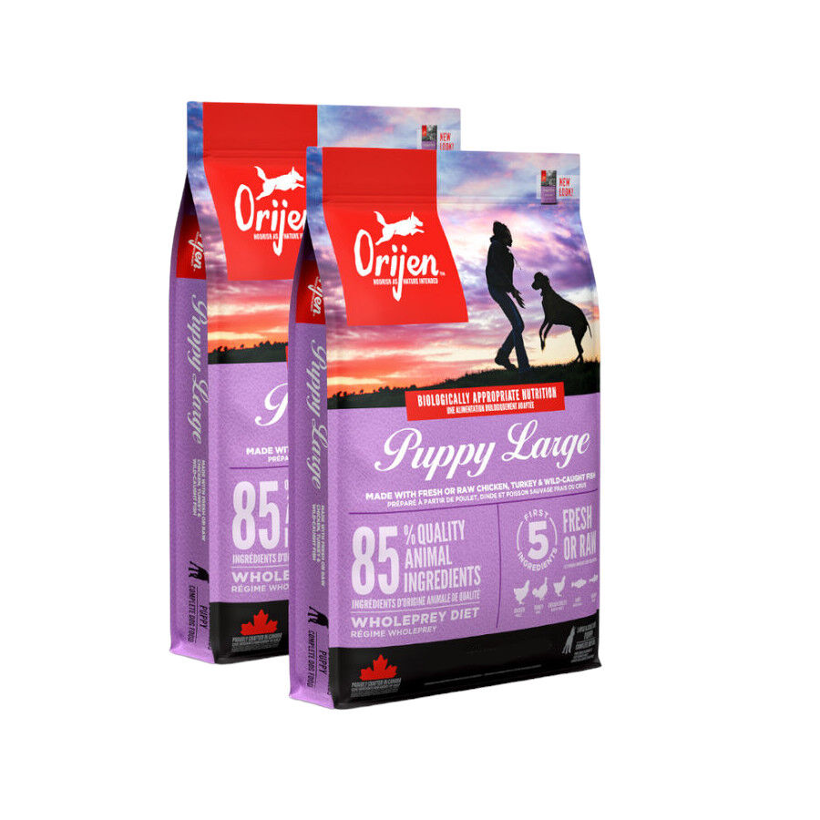 2 x 11 kg Orijen Puppy Large ra&ccedil;&atilde;o para c&atilde;es Pack poupan&ccedil;a!, , large Imagem n&uacute;mero 1
