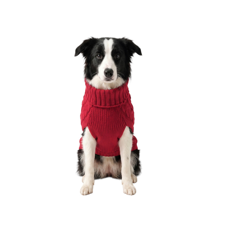 Gotoo Camisola de Malha Vermelha para c&atilde;es, , large Imagem n&uacute;mero 7