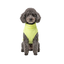 Gotoo Camisola Polar Verde-Lima para c&atilde;es, , large Indicador imagem n&uacute;mero 7