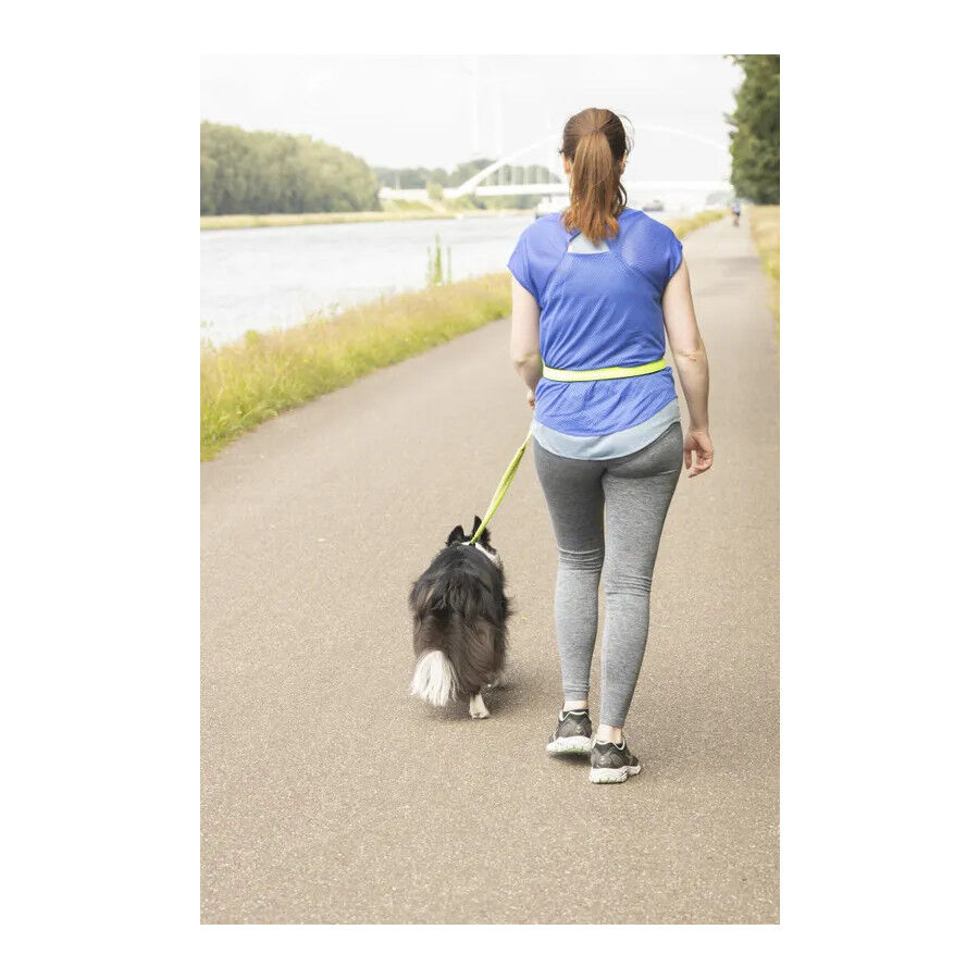 Flamingo Trela Canicross Amarela Fluorescente para c&atilde;es, , large Imagem n&uacute;mero 5