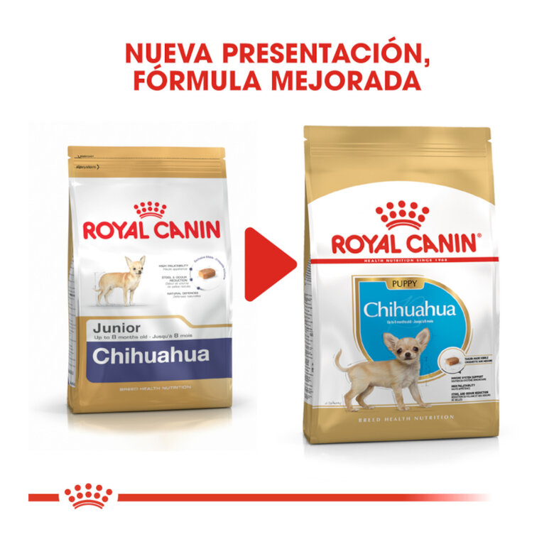 Royal Canin Puppy Chihuahua ração para cães ,  Imagem número 3 Royal Canin Puppy Chihuahua ração para cães , , large Imagem número 3