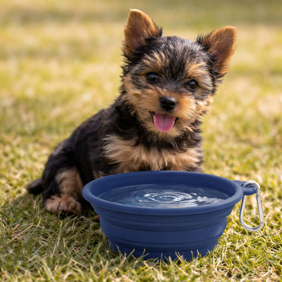 Gotoo Comedouro Dobr&aacute;vel e Port&aacute;til em Silicone Azul para c&atilde;es e gatos, , large Imagem n&uacute;mero 1