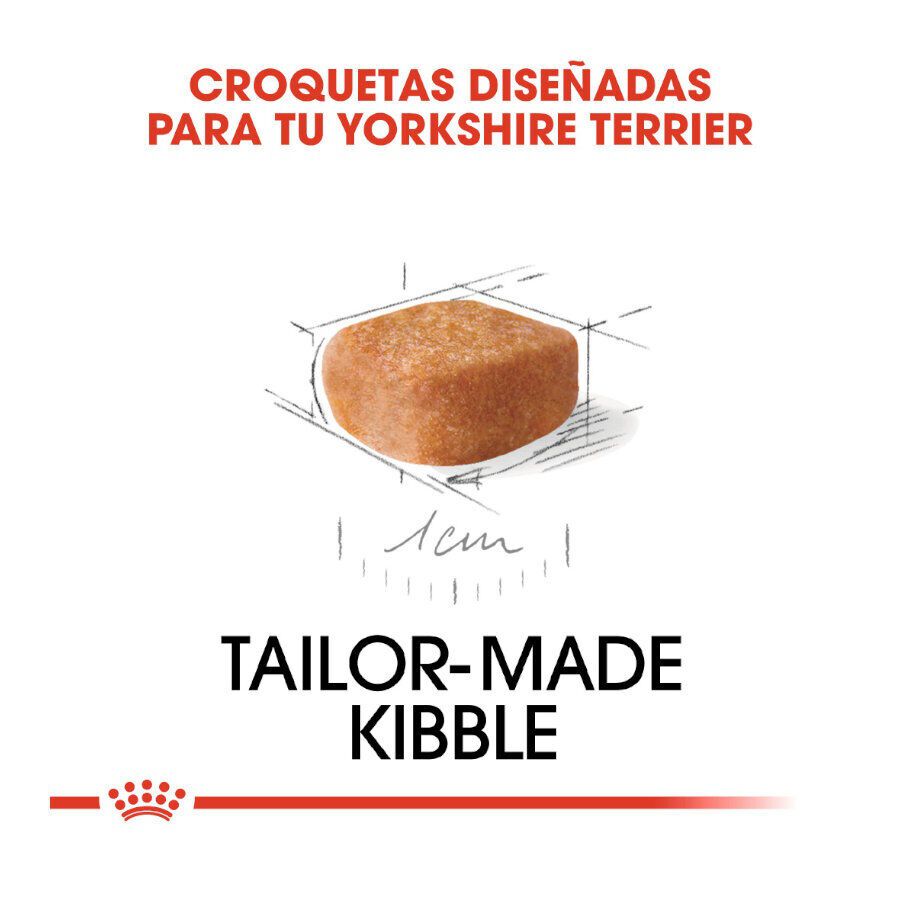 Royal Canin Puppy Yorkshire Terrier ra&ccedil;&atilde;o para c&atilde;es, , large Imagem n&uacute;mero 4
