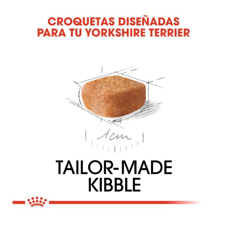 Royal Canin Puppy Yorkshire Terrier ração para cães,  Imagem número 4 Royal Canin Puppy Yorkshire Terrier ração para cães, , large Imagem número 4