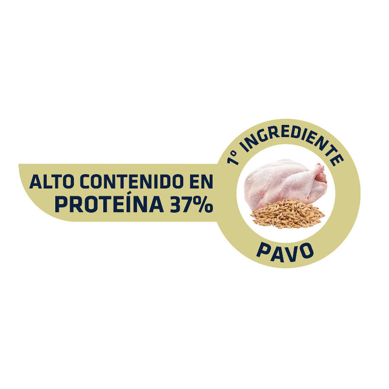 Advance Adult Sterilized Peru e Cevada ração para gatos, , large image number null