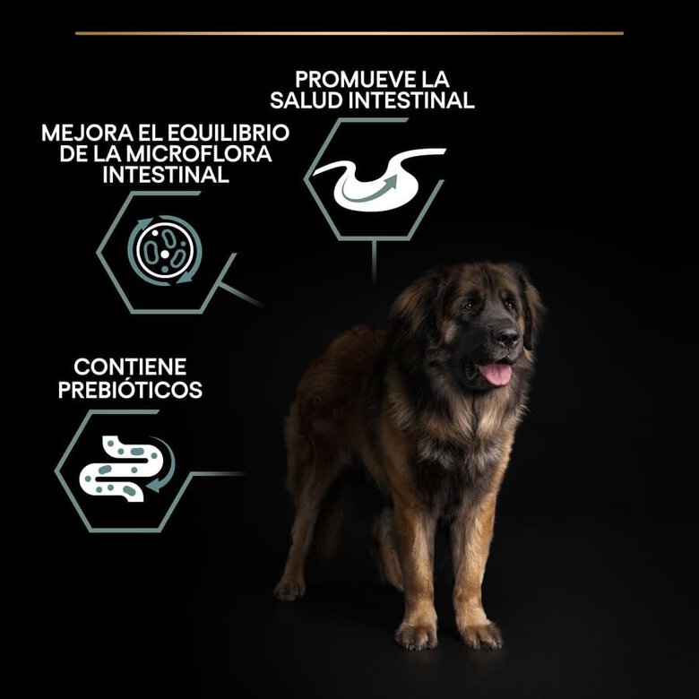 14 kg Pro Plan Adult Large Robust Digestão Cordeiro ração para cães,  Imagem número 3 14 kg Pro Plan Adult Large Robust Digestão Cordeiro ração para cães, , large Imagem número 3