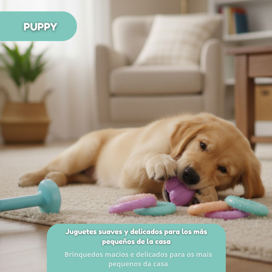 Tootoy! Puppy Caixa de brinquedos para cachorros, , large Imagem n&uacute;mero 5