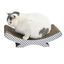 Leeby Remy Rocker arranhador de cartão horizontal com padrão vichy para gatos, , large Indicador imagem número 6