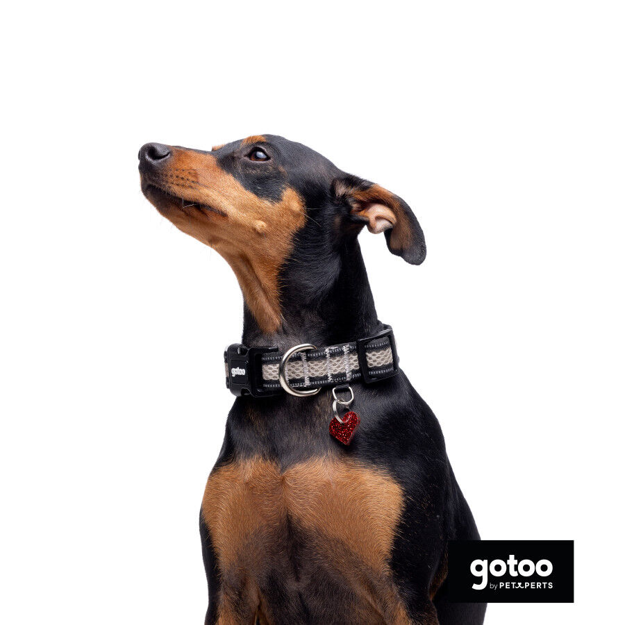 Gotoo Coleira mesh cinza para c&atilde;es, , large Imagem n&uacute;mero 6