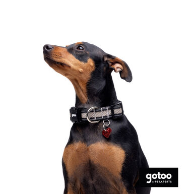 Gotoo Coleira mesh cinza para cães