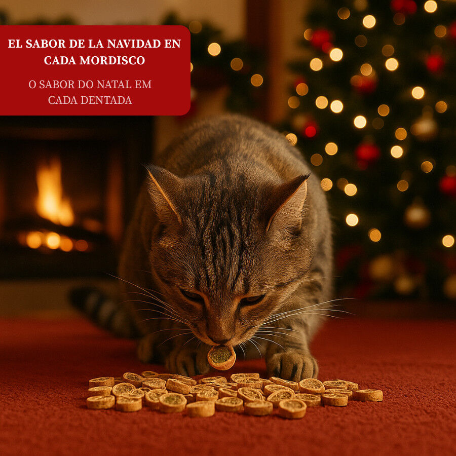 50 g Wonder Christmas Caixa de Petiscos de Natal para gatos, , large Imagem n&uacute;mero 4