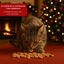 50 g Wonder Christmas Caixa de Petiscos de Natal para gatos, , large Indicador imagem número 4