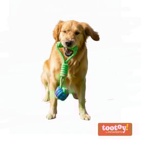 Tootoy! Pull Bola de puxar com corda para c&atilde;es