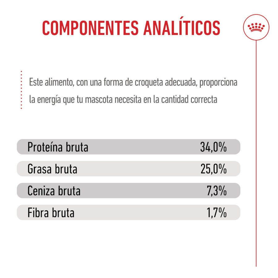 2 x 4 kg Royal Canin Mother & Baby ra&ccedil;&atilde;o para gatos Pack poupan&ccedil;a!, , large Imagem n&uacute;mero 9