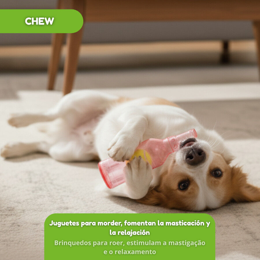 Tootoy! Chew Mordedor garrafa pequena para c&atilde;es, , large Imagem n&uacute;mero 6