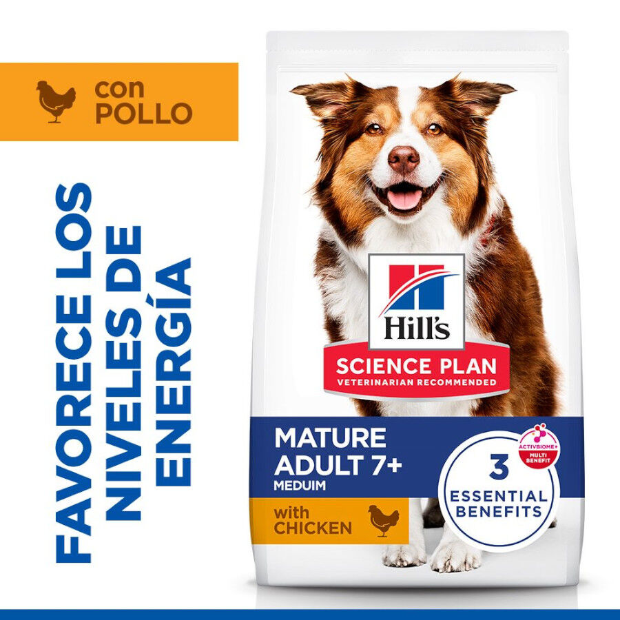 14 kg Hill's Science Plan Medium Mature Adult Frango ra&ccedil;&atilde;o para c&atilde;es, , large Imagem n&uacute;mero 2