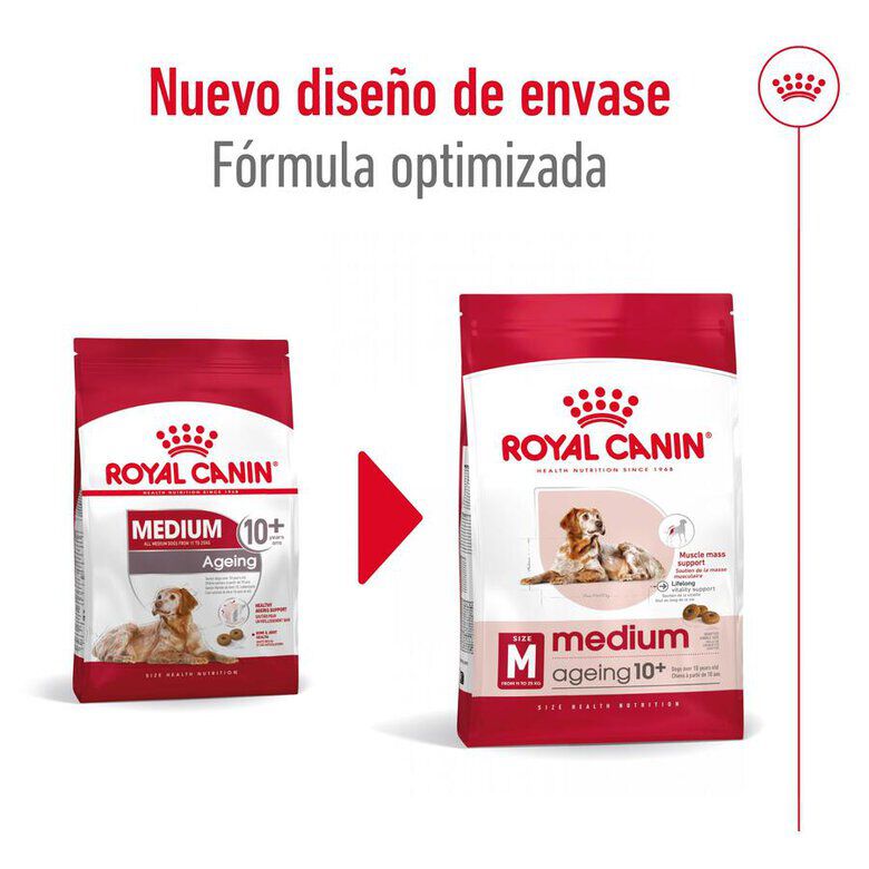 15 kg Royal Canin Medium 10+ Ageing ra&ccedil;&atilde;o para c&atilde;es, , large Imagem n&uacute;mero 2