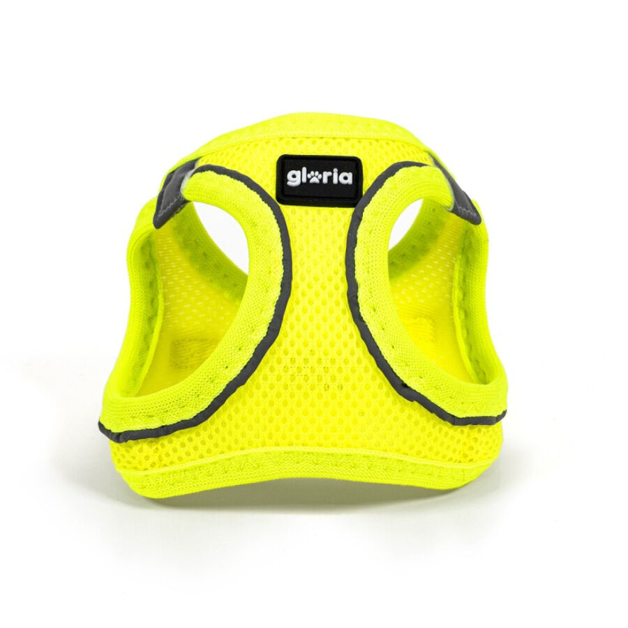 Gloria Air Mesh Trek Star Peitoral Amarelo para c&atilde;es, , large Imagem n&uacute;mero 4